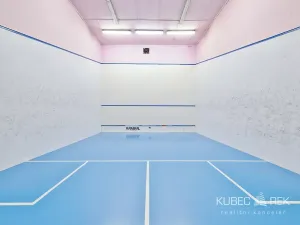 Prodej komerční nemovitosti, Soběslav, 514 m2