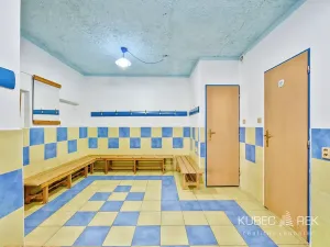 Prodej komerční nemovitosti, Soběslav, 514 m2