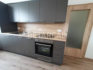 Pronájem bytu 2+kk, Brno, Plotní, 49 m2