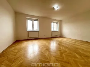 Prodej bytu 1+1, Brno, Merhautova, 48 m2