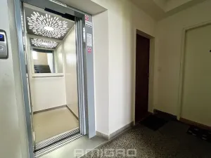 Prodej bytu 1+1, Brno, Merhautova, 48 m2