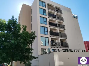 Prodej bytu 2+kk, Plzeň, Goldscheiderova, 56 m2