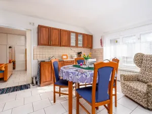 Prodej obchodního prostoru, Úsobí, 365 m2