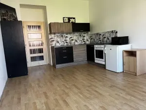 Pronájem bytu 1+kk, Praha - Nusle, Doudlebská, 29 m2