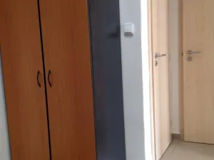 Pronájem bytu 1+kk, Praha - Nusle, Doudlebská, 29 m2