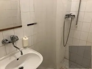 Prodej vícegeneračního domu, Brno, 130 m2