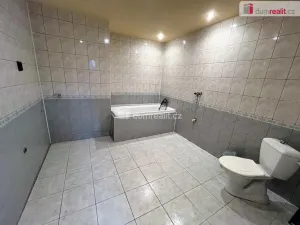Pronájem obchodního prostoru, Uherské Hradiště - Mařatice, Jižní, 95 m2