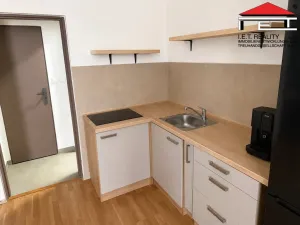 Pronájem bytu 1+kk, Opava, Sněmovní, 45 m2