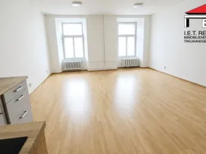 Pronájem bytu 1+kk, Opava, Sněmovní, 45 m2