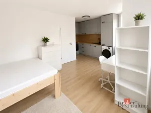 Pronájem bytu 1+kk, Opava, 25 m2
