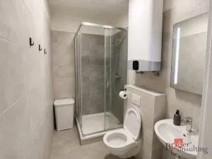 Pronájem bytu 1+kk, Opava, 25 m2