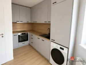 Pronájem bytu 1+kk, Opava, 25 m2