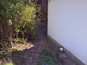 Pronájem chaty, Zduchovice - Žebrákov, 30 m2