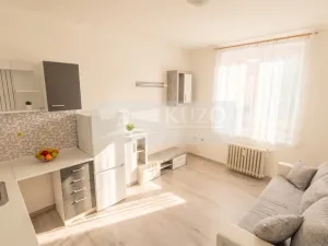 Pronájem bytu 1+kk, Příbram, Mariánská, 20 m2