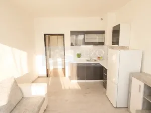 Pronájem bytu 1+kk, Příbram, Mariánská, 20 m2