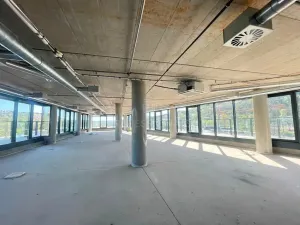 Pronájem kanceláře, Praha, Strakonická, 198 m2