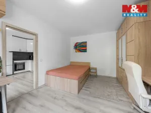 Prodej bytu 1+1, Ústí nad Labem - Severní Terasa, Maková, 33 m2