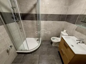 Pronájem bytu 1+1, Chomutov, Školní, 41 m2