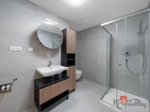 Prodej bytu 2+kk, Brno - Staré Brno, Nové sady, 80 m2