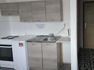 Pronájem bytu 1+1, Ústí nad Labem - Mojžíř, Peškova, 36 m2