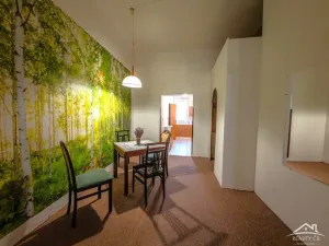 Prodej rodinného domu, Jihlava, Palackého, 615 m2