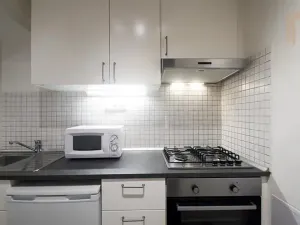 Pronájem bytu 2+kk, Praha - Žižkov, Lucemburská, 49 m2