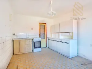 Prodej rodinného domu, Raná, 218 m2