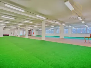 Pronájem obchodního prostoru, Roudnice nad Labem, 1200 m2