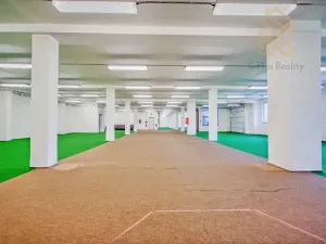 Pronájem obchodního prostoru, Roudnice nad Labem, 1200 m2