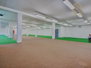 Pronájem obchodního prostoru, Roudnice nad Labem, 1200 m2