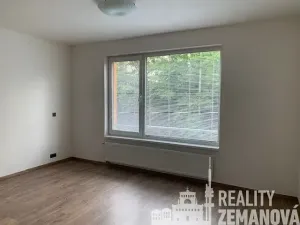 Pronájem bytu 1+kk, Praha - Michle, Hanusova, 38 m2