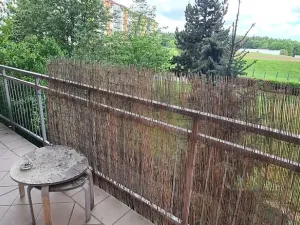 Pronájem bytu 2+kk, Praha - Horní Měcholupy, R.A. Dvorského, 69 m2