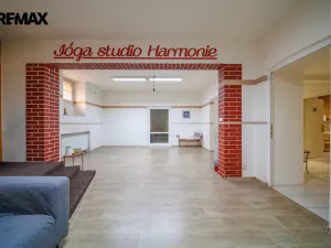 Prodej obchodního prostoru, Karlovy Vary, K. Čapka, 113 m2