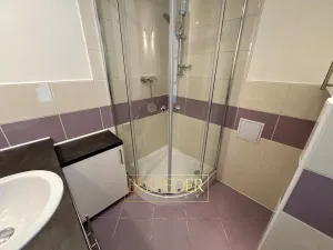 Pronájem bytu 3+kk, Ústí nad Labem, Klíšská, 60 m2