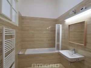 Pronájem bytu 1+1, Brno, Česká, 55 m2