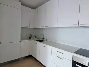 Pronájem bytu 3+kk, Praha - Podolí, Jeremenkova, 99 m2