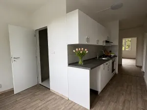 Pronájem bytu 3+1, Litvínov, Tylova, 81 m2