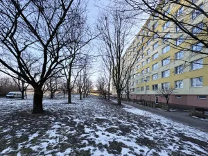 Pronájem bytu 3+kk, Praha, Píškova, 70 m2