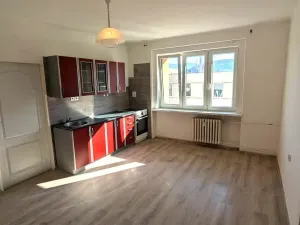 Pronájem bytu 2+kk, Ústí nad Labem - Neštěmice, Mlýnská, 54 m2