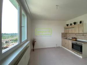 Pronájem bytu 2+1, Brno, Křídlovická, 55 m2