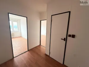 Prodej bytu 2+kk, Krupka - Maršov, Dukelských hrdinů, 39 m2