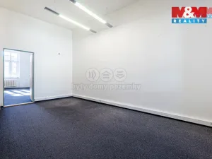 Pronájem kanceláře, Plzeň - Jižní Předměstí, Hálkova, 125 m2