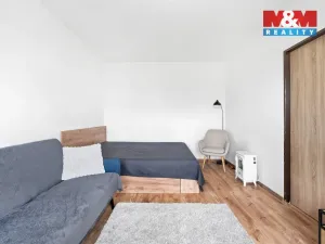 Prodej bytu 1+1, Dymokury - Svídnice, 31 m2