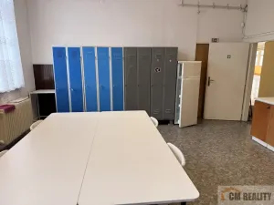 Pronájem výrobních prostor, Prostějov, Žeranovská, 500 m2