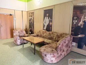 Pronájem výrobních prostor, Prostějov, Žeranovská, 500 m2
