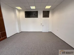 Pronájem výrobních prostor, Prostějov, Žeranovská, 500 m2