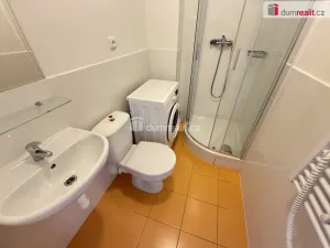 Pronájem bytu 1+kk, Praha - Smíchov, Na Valentince, 50 m2