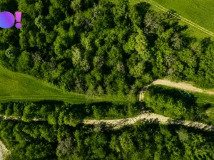 Prodej zahrady, Zástřizly, 1318 m2