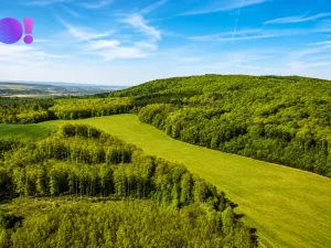 Prodej zahrady, Zástřizly, 1318 m2
