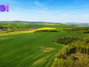 Prodej zahrady, Zástřizly, 1318 m2